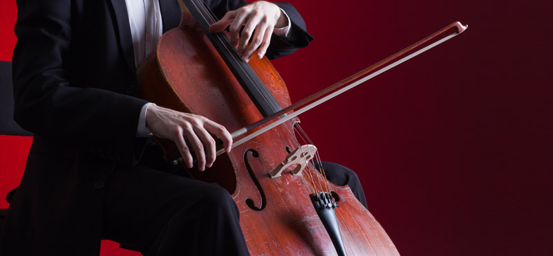 Violoncello